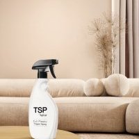 TSP